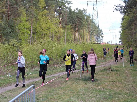 Biegali o Puchar Konstytucji 3 Maja 30389
