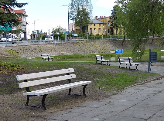 Staw w Parku Chrobrego z nowymi ławkami 30523