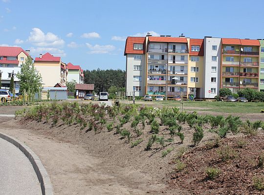 Zielono na Osiedlu Sportowa 31039