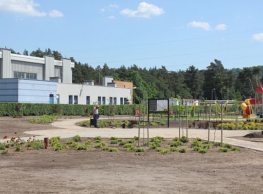 Zielono na Osiedlu Sportowa 31041