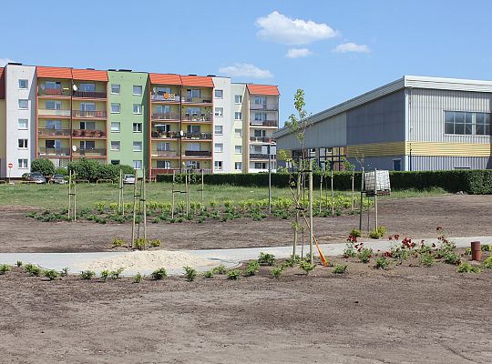 Zielono na Osiedlu Sportowa 31043