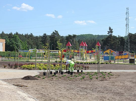 Zielono na Osiedlu Sportowa 31045