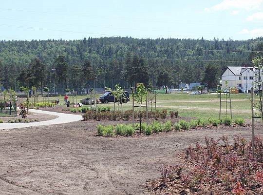 Zielono na Osiedlu Sportowa 31047