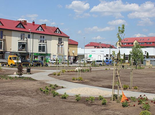 Zielono na Osiedlu Sportowa 31048