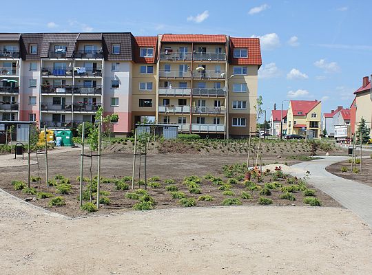 Zielono na Osiedlu Sportowa 31049