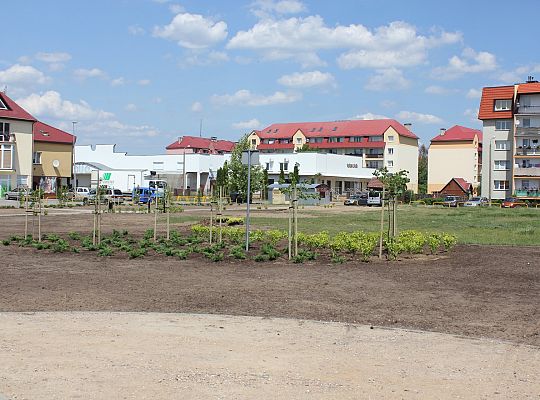 Zielono na Osiedlu Sportowa 31050