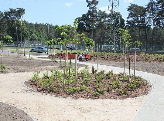 Zielono na Osiedlu Sportowa 31058