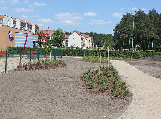 Zielono na Osiedlu Sportowa 31059