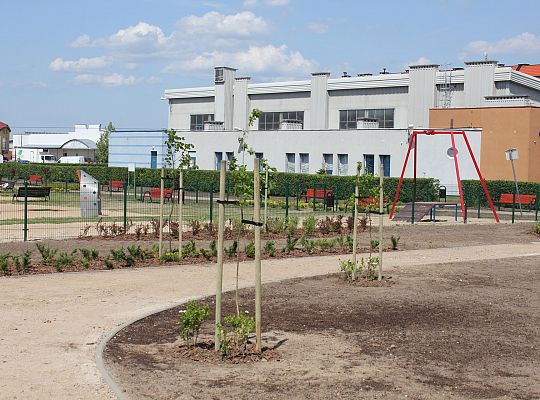 Zielono na Osiedlu Sportowa 31061