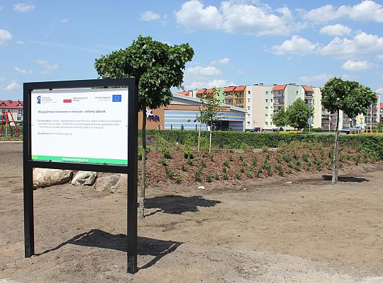 Zielono na Osiedlu Sportowa 31062