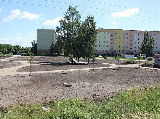 Przy Czołgistów powstaje teren zielony 31389
