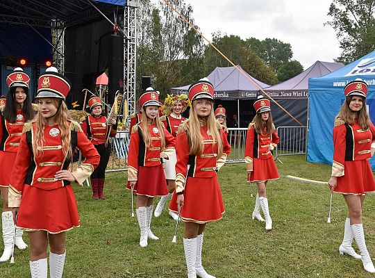 Powiatowe Dożynki 2019 w Krępie Kaszubskiej 32844