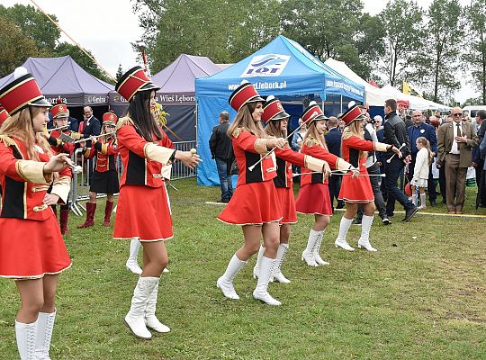 Powiatowe Dożynki 2019 w Krępie Kaszubskiej 32848