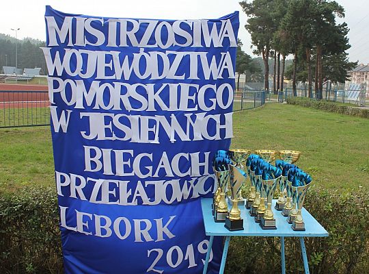 „Sprawni Razem” - Mistrzostwa Województwa 33154