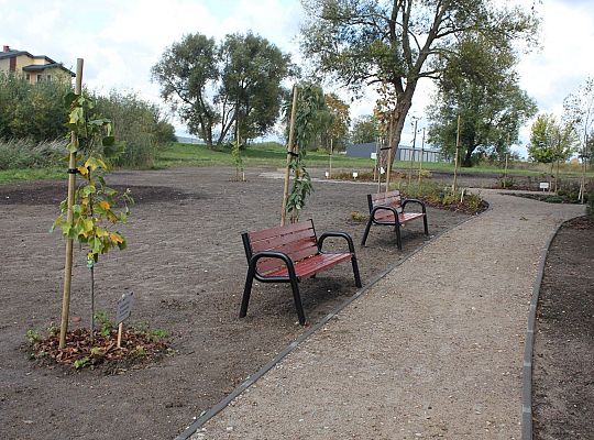 Nowy minipark przy ulicy Gierymskiego 33444