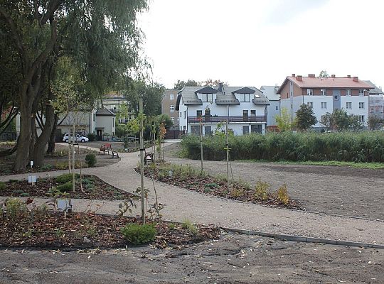 Nowy minipark przy ulicy Gierymskiego 33447