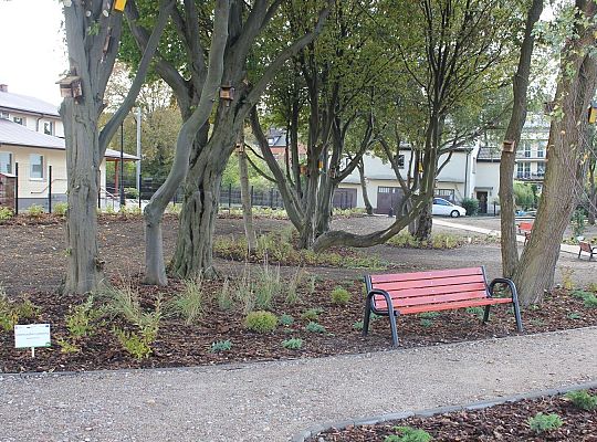 Nowy minipark przy ulicy Gierymskiego 33448