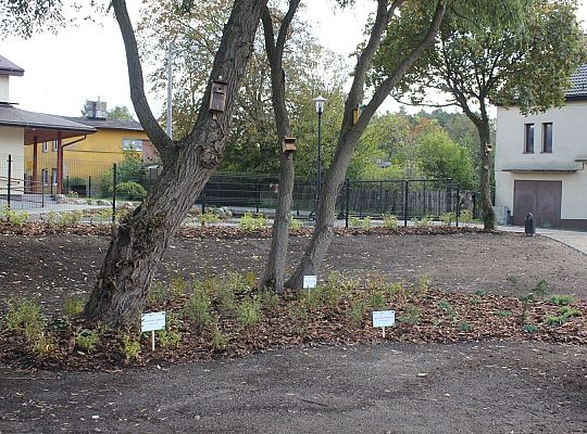 Nowy minipark przy ulicy Gierymskiego 33452