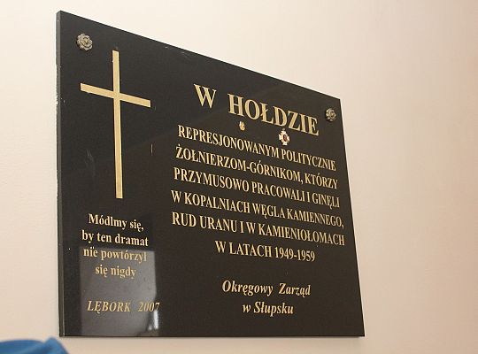 W 70. rocznicę powstania batalionów 33562
