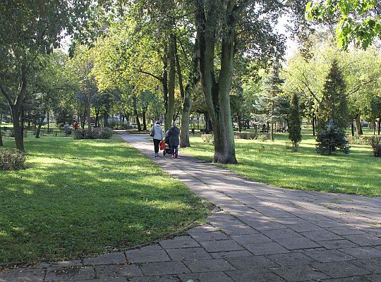 Park Michalskiego – ruszył II etap „Zielonej 33566