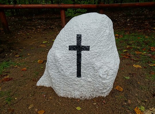 Pogoda niestraszna rajdowiczom 33576