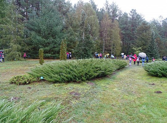 Pogoda niestraszna rajdowiczom 33580