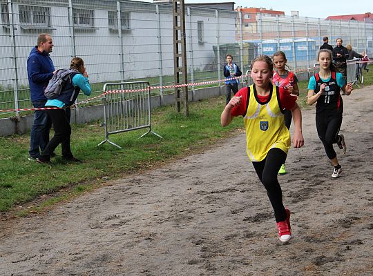 Biegi o Puchar Grand-Prix Lęborka 33765