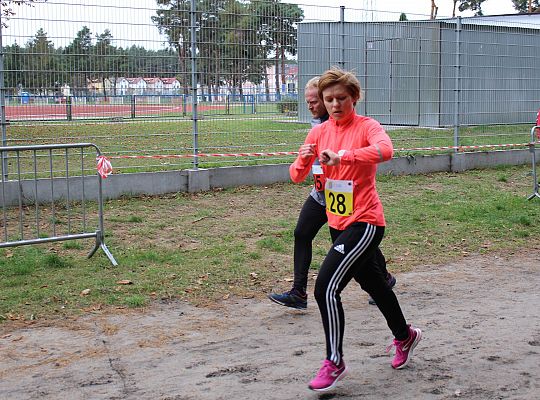 Biegi o Puchar Grand-Prix Lęborka 33793