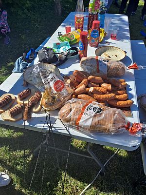 Piknik dla dzieci w rewitalizowanym obszarze 43488