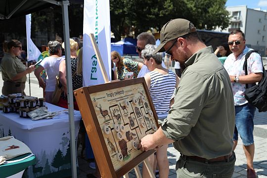 Jarmark św. Jakuba AD 2024 56748