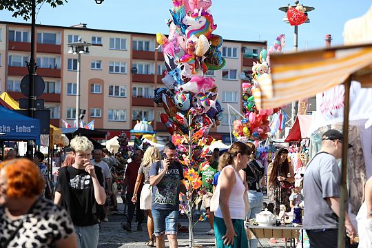 Jarmark św. Jakuba AD 2024 56276