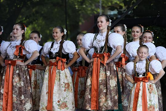 Jarmark św. Jakuba AD 2024 56348