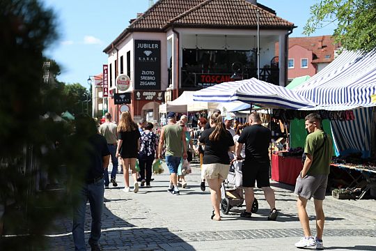 Jarmark św. Jakuba AD 2024 56487