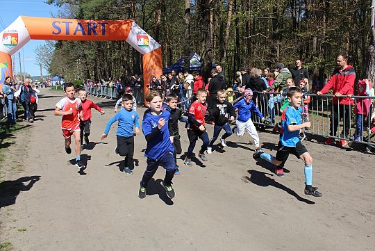 Biegi Przełajowe o Puchar Konstytucji 3 Maja 62670