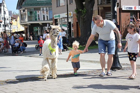 Letnie czwartki z książką i… niespodzianką! 66235