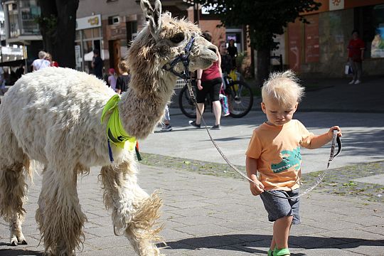 Letnie czwartki z książką i… niespodzianką! 66236