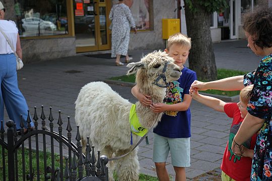 Letnie czwartki z książką i… niespodzianką! 66241