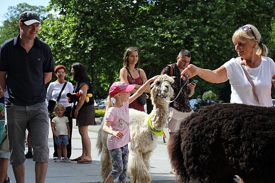 Letnie czwartki z książką i… niespodzianką! 66243
