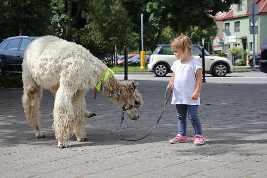 Letnie czwartki z książką i… niespodzianką! 66245
