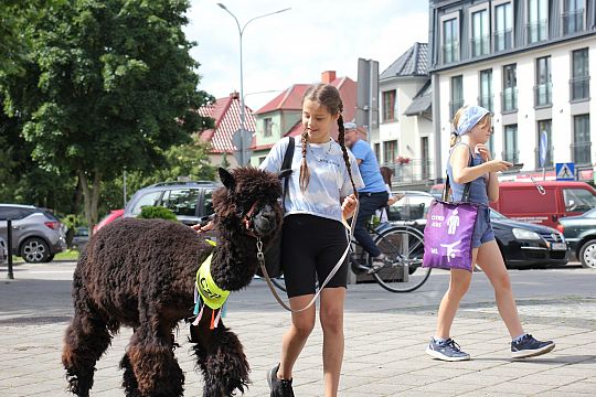 Letnie czwartki z książką i… niespodzianką! 66246