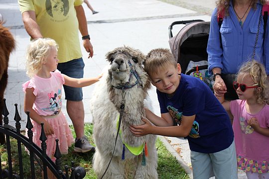 Letnie czwartki z książką i… niespodzianką! 66247