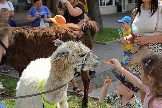 Letnie czwartki z książką i… niespodzianką! 66248