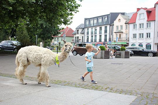 Letnie czwartki z książką i… niespodzianką! 66250