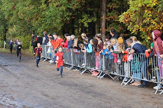 Drugi bieg Grand-Prix za nami 68464