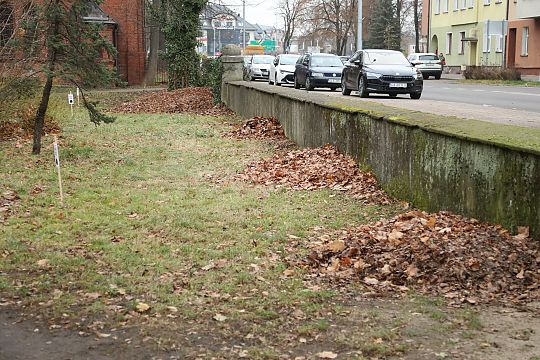Zimowe azyle dla jeży w parku im. Mieczysława 69941