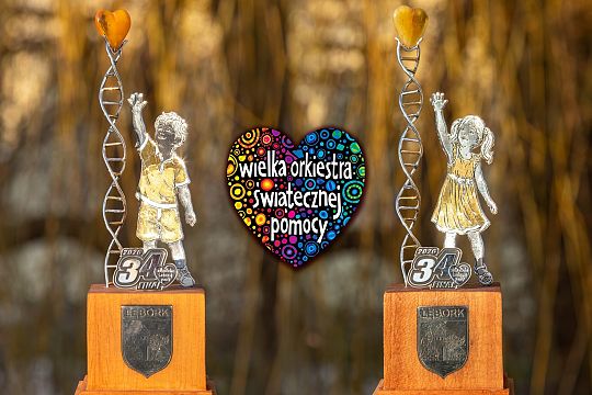 Unikatowe statuetki na licytacjach 34. Finału WOŚP 71073