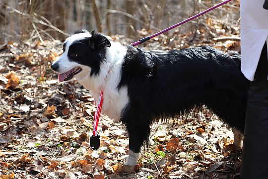 Rekordowa frekwencja na II Patriotycznym Biegu im. 72103