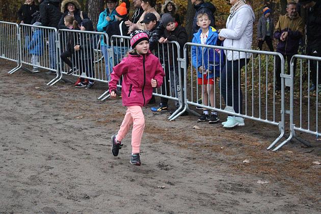 Indywidualne Biegi Przełajowe z okazji Święta Niepodległości w strugach deszczu