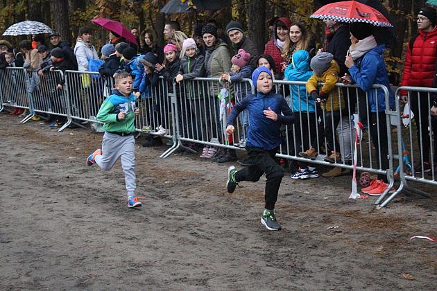 Indywidualne Biegi Przełajowe z okazji Święta Niepodległości w strugach deszczu