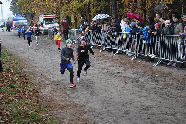 Indywidualne Biegi Przełajowe z okazji Święta Niepodległości w strugach deszczu
